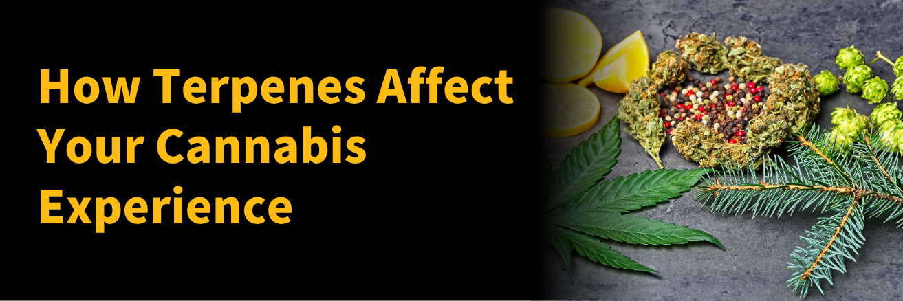 How Terpenes Affect Your Cannabis Experience